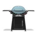 Portable Two-Burner Propane Gas Barbecue with Wheeled Cart 18,000 BTU