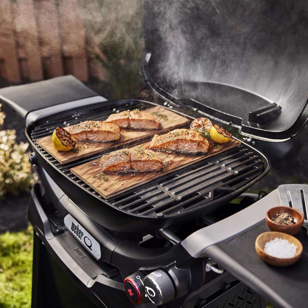 Portable Two-Burner Propane Gas Barbecue with Wheeled Cart 18,000 BTU - view 3